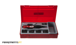 Conjunto de Ponteiras para Chave de fenda dinamométrica Teng Tools TTSD39